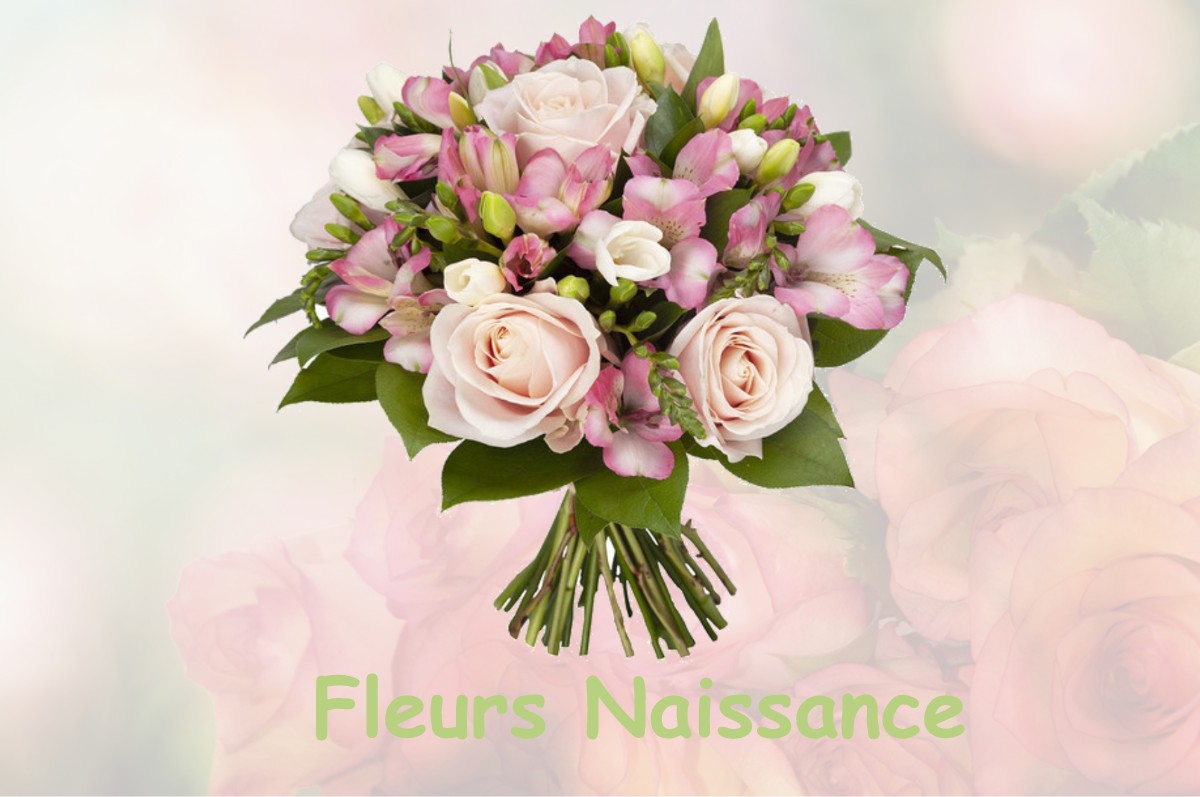 fleurs naissance LE-TOUQUET-PARIS-PLAGE